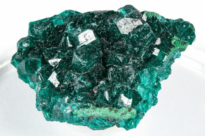 Sparkly Emerald-Green Dioptase With Malachite - Congo #347854